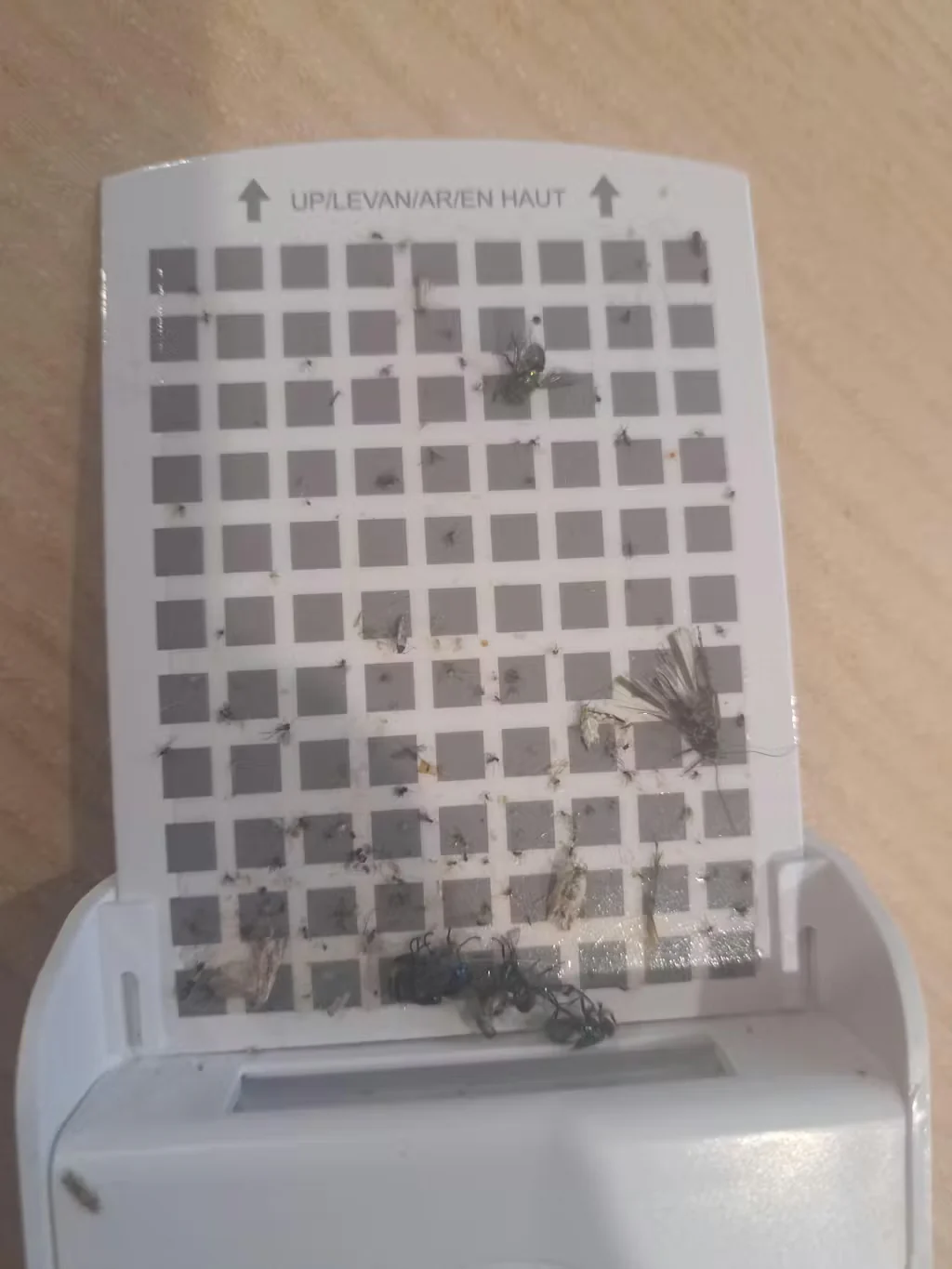 Bug Magnet - Plug-in Flying Insect Sticky Trap [PRE-ORDER] - Image 3