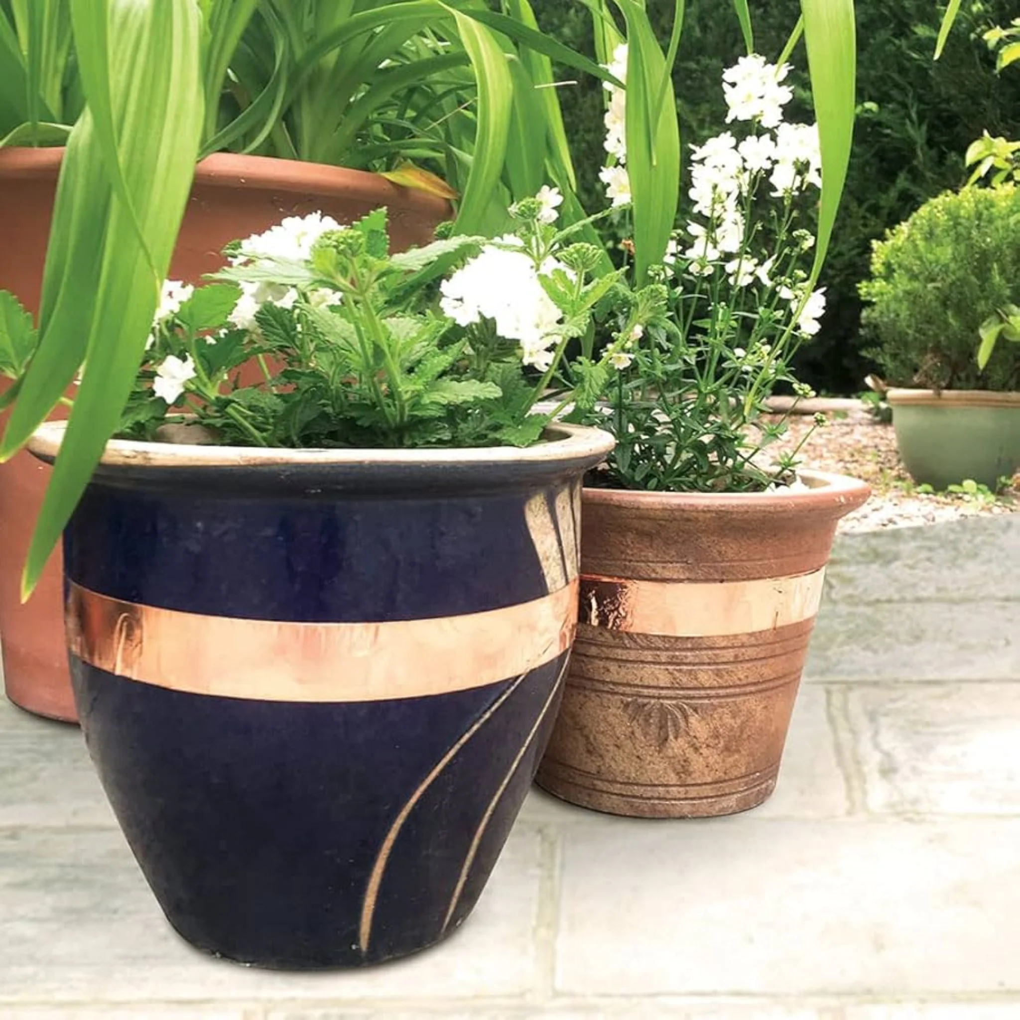 Copper Slug and Snail Tape - *Huge 25 Metre Roll* - Image 5