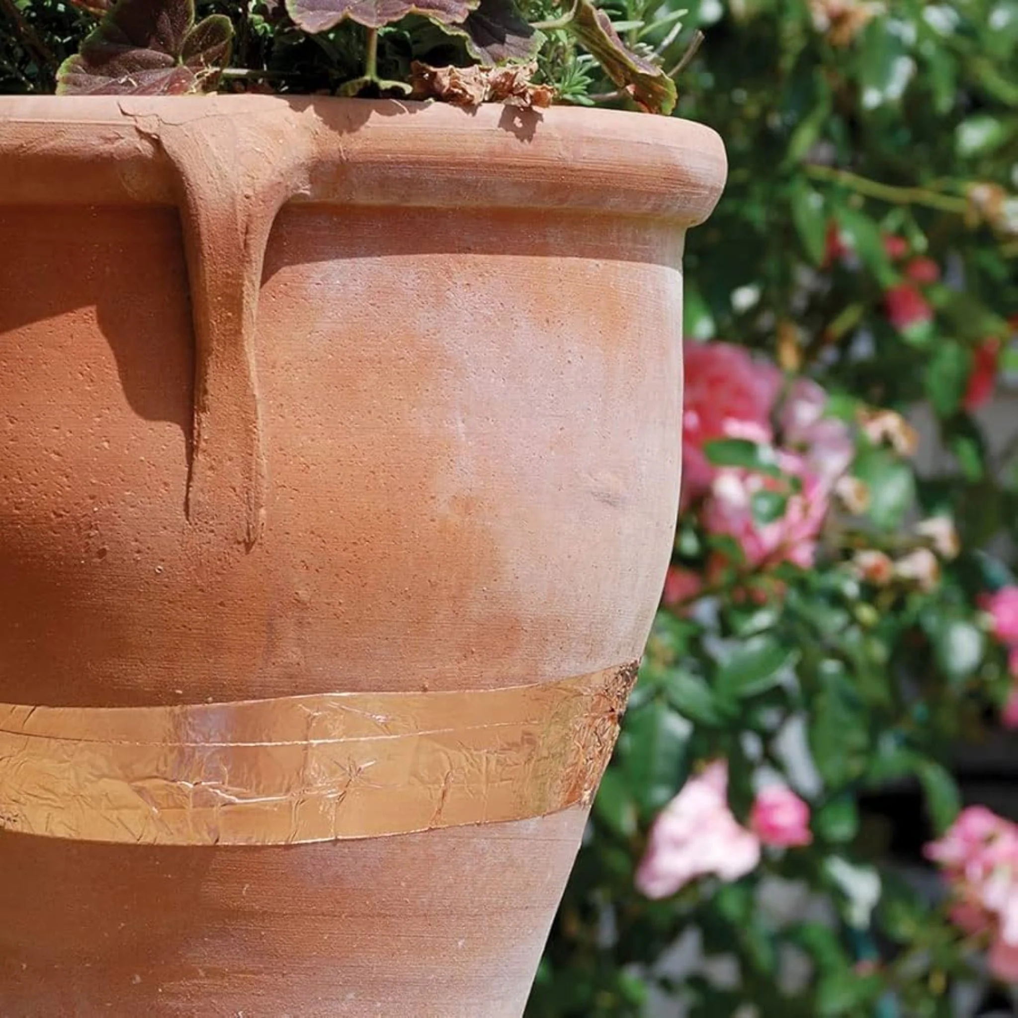 Copper Slug and Snail Tape - *Huge 25 Metre Roll* - Image 6