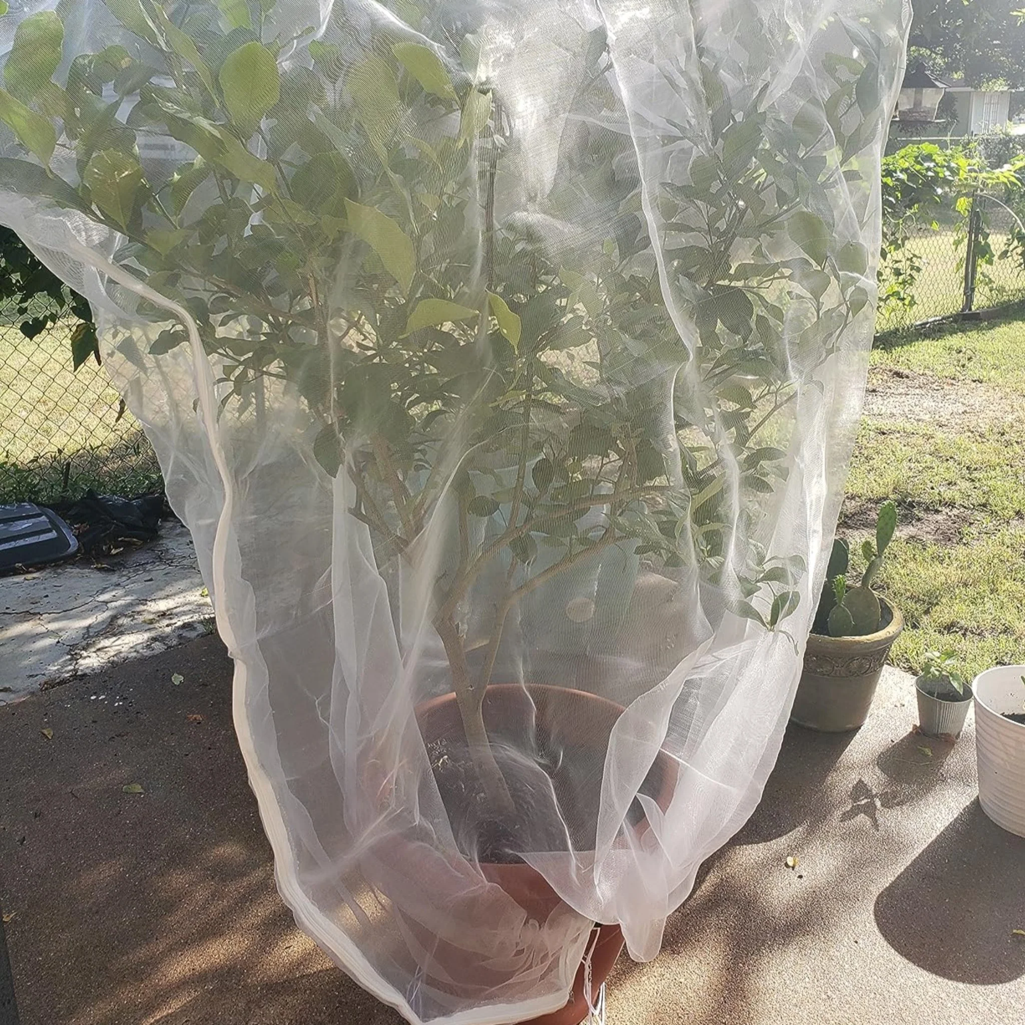 EnviroBug Tree Defender – Fruit Tree Netting for Bird and Insect - Image 4