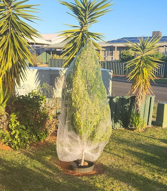 EnviroBug Tree Defender – Fruit Tree Netting for Bird and Insect - Image 5