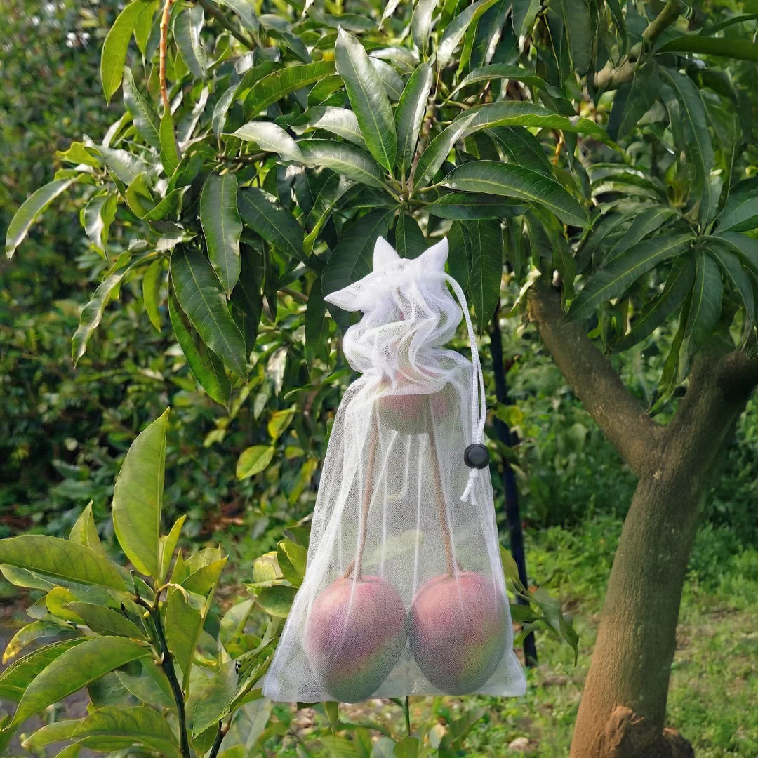 EnviroBug Tree Defender – Fruit Bags (10 Pack) for Bird and Insect - Image 3