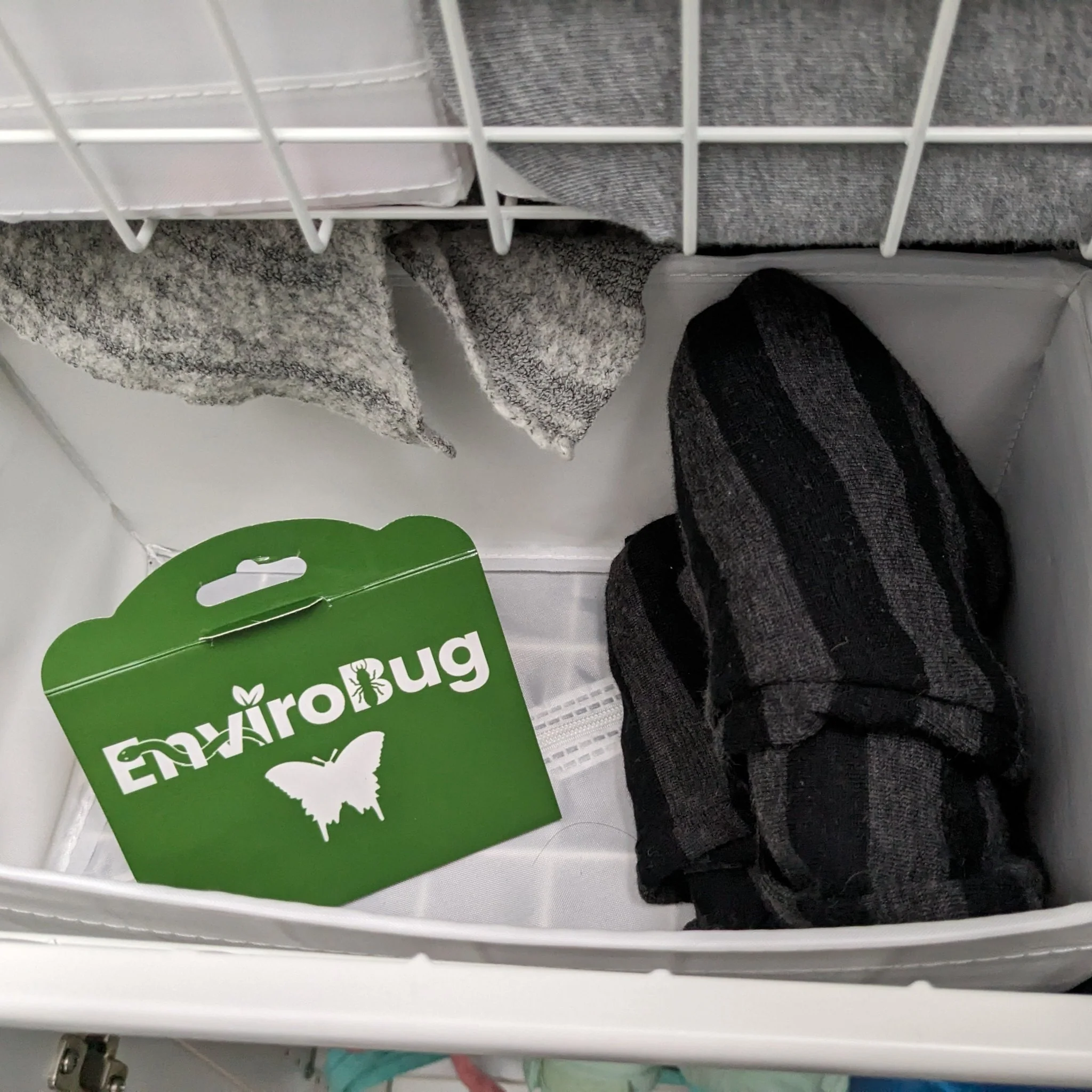 Lure+Stick: Pheromone Traps for Moths - Image 10