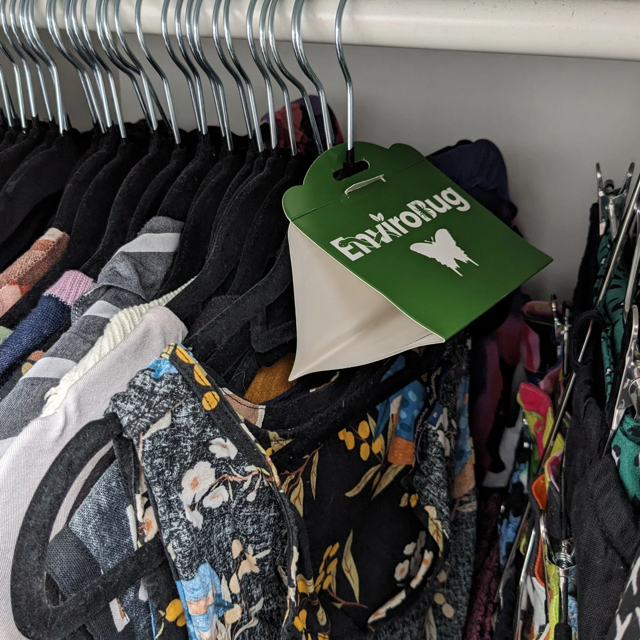 Lure+Stick: Pheromone Traps for Moths - Image 11