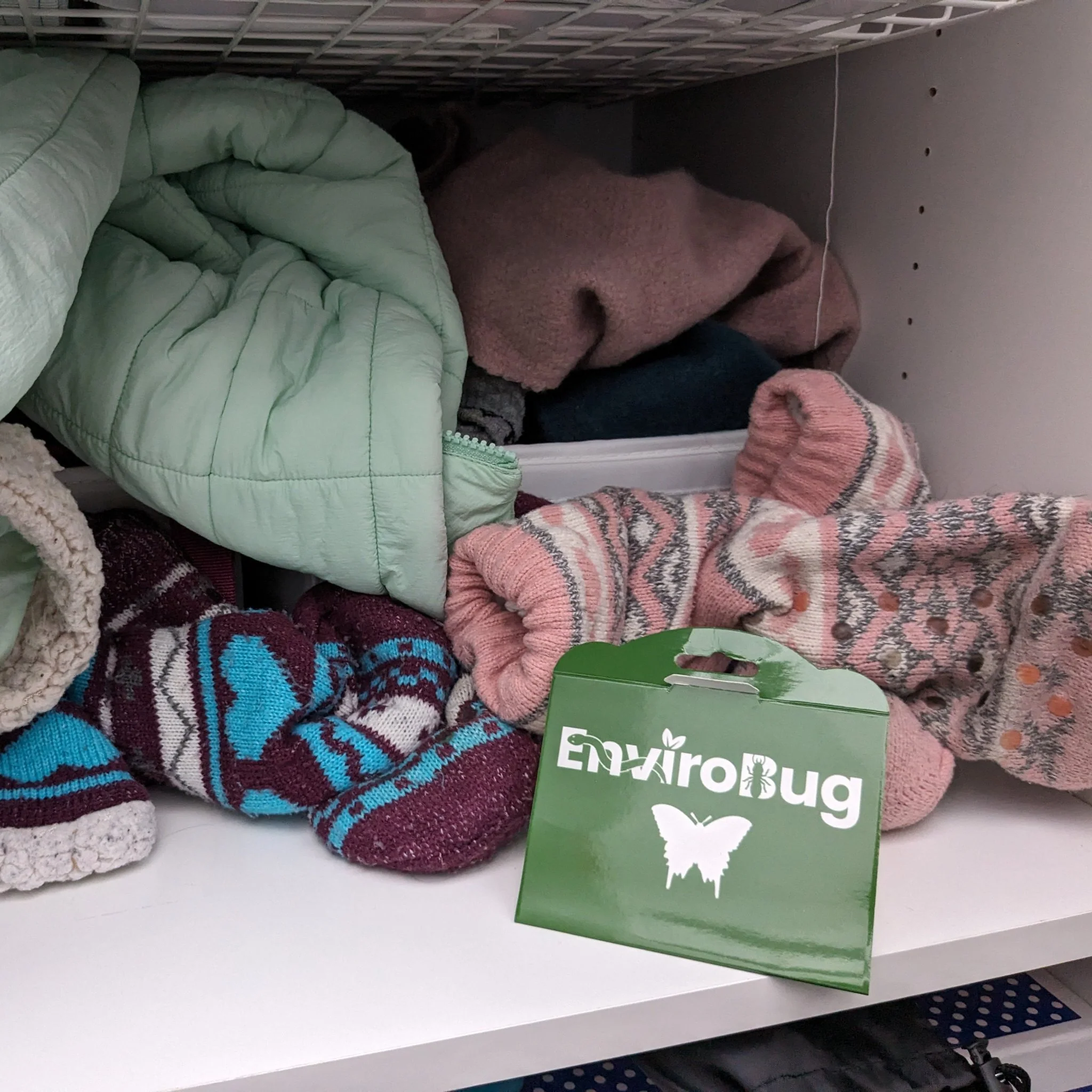 Lure+Stick: Pheromone Traps for Moths - Image 12