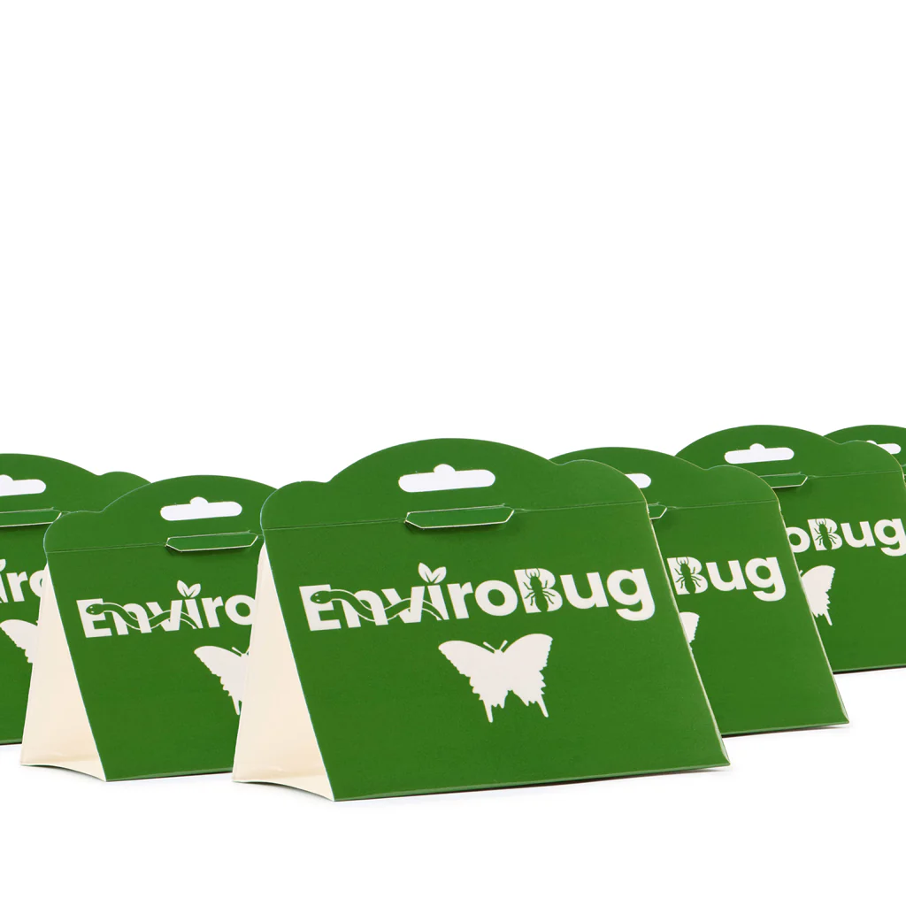 Lure+Stick: Pheromone Traps for Moths - Image 4