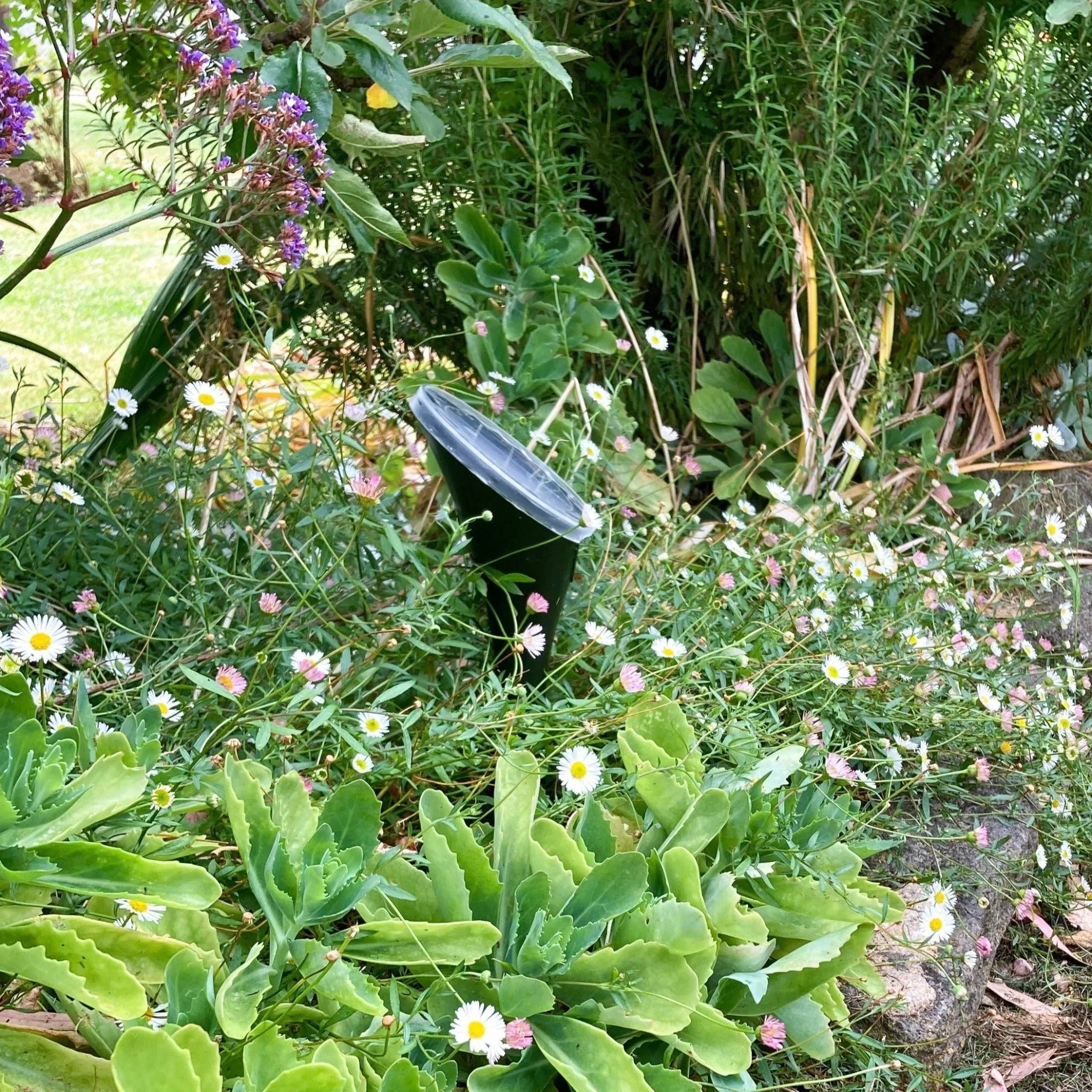 EnviroBug Powerful Solar Snake Repellers (8th Generation) - Image 14