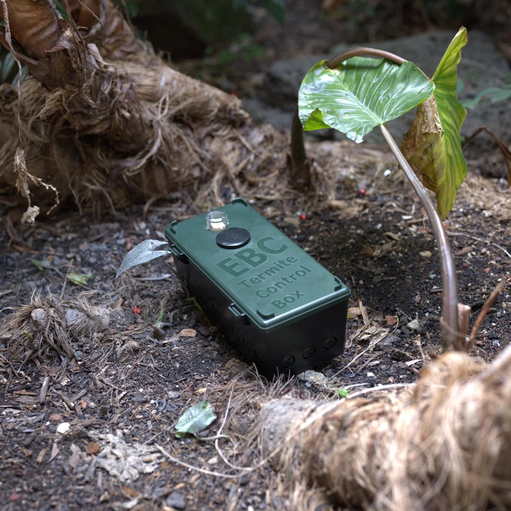 Termite Ninja - Ultimate DIY Termite Eradication System - Image 5