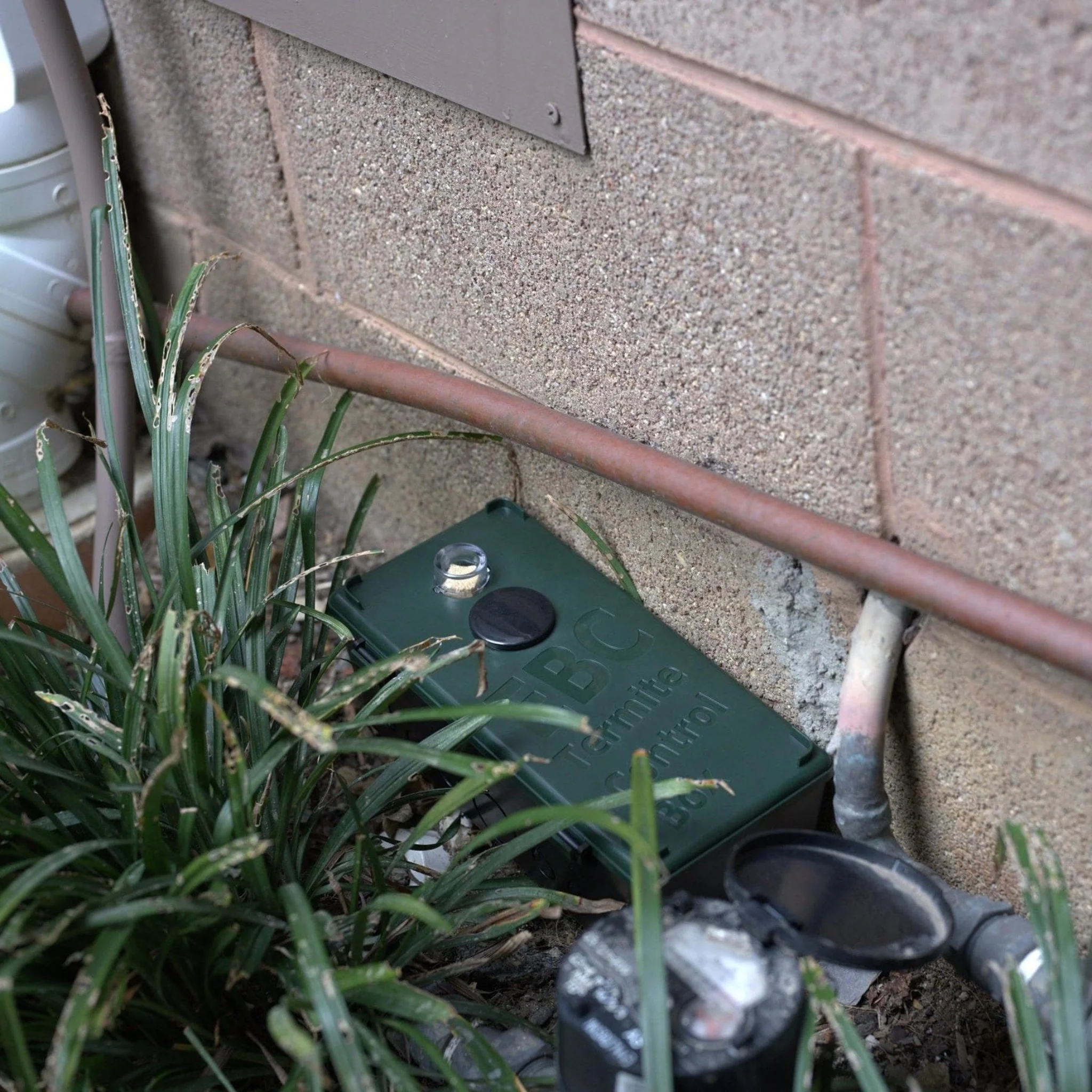 Termite Ninja - Ultimate DIY Termite Eradication System - Image 6