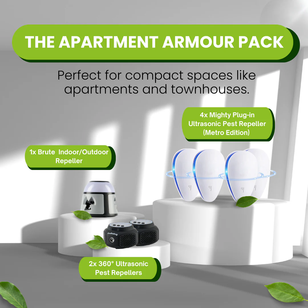 Eco-friendly Solutions to Protect your Home, Family and Pets